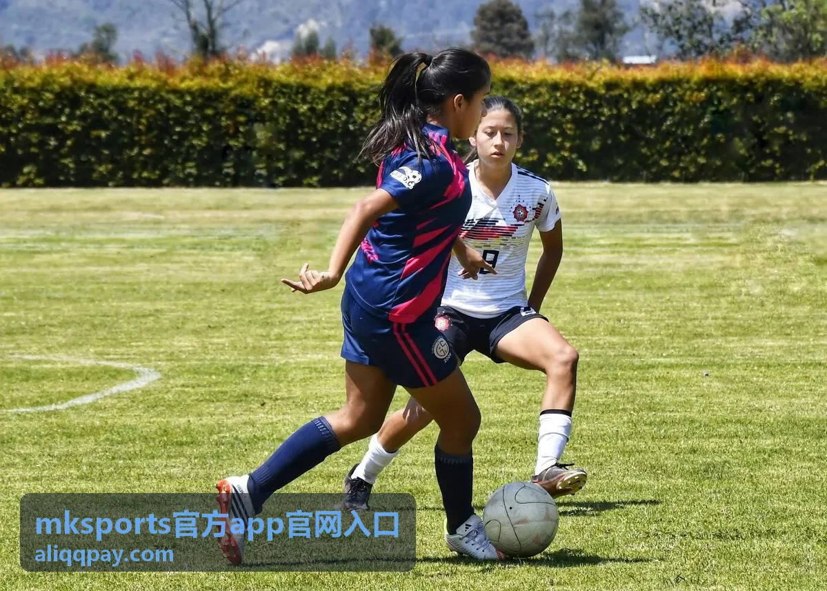 mksports官方app官网入口首页赛程列表界面