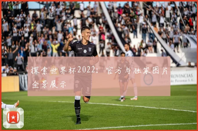 探索世界杯2022：官方与独家图片全景展示