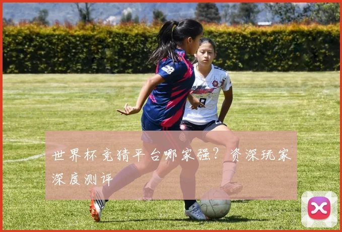 世界杯竞猜平台哪家强?资深玩家深度测评
