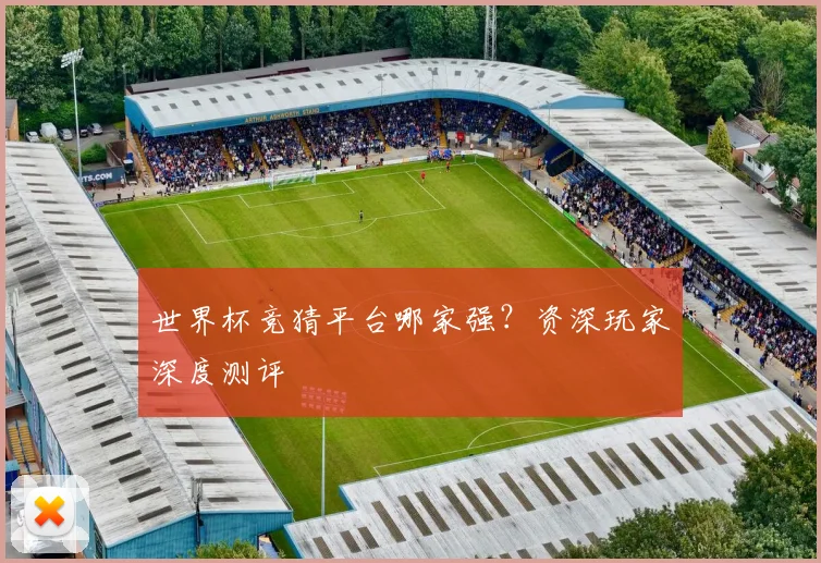 世界杯竞猜平台哪家强?资深玩家深度测评