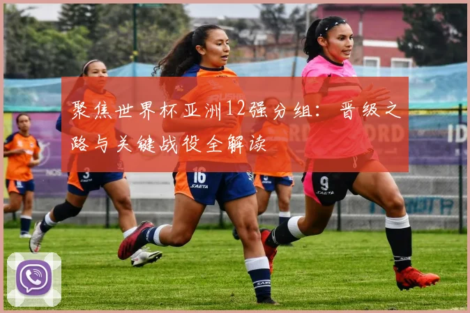 聚焦世界杯亚洲12强分组：晋级之路与关键战役全解读