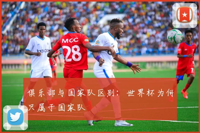 俱乐部与国家队区别:世界杯为何只属于国家队