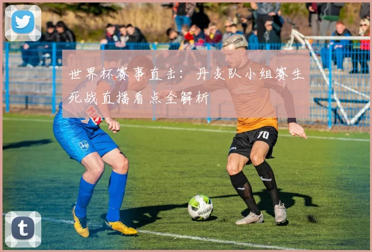世界杯赛事直击：丹麦队小组赛生死战直播看点全解析