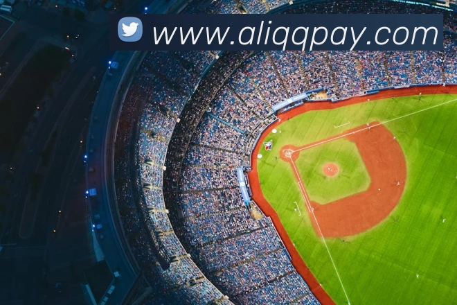 中国体育app官网入口APP 体育赛事宣传图